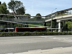 Pine Grove (D21), Condominium #497536751